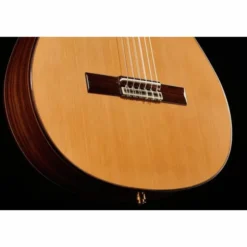 Alhambra 5P CT E2 incl.Gig Bag