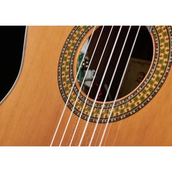 Alhambra 9P CW E8 w/Case