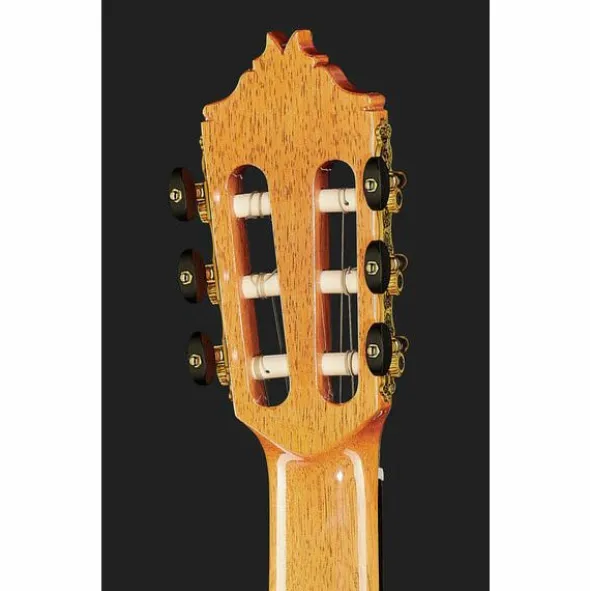 Alhambra 9P CW E8 w/Case