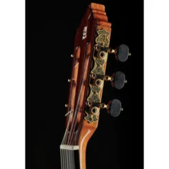 Alhambra 9P CW E8 w/Case