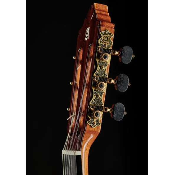 Alhambra 9P CW E8 w/Case