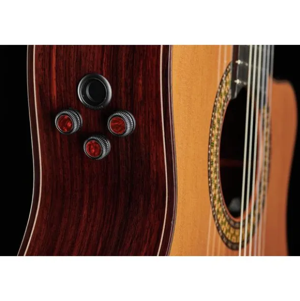 Alhambra 9P CW E8 w/Case