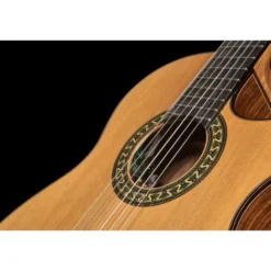 Alhambra 5 P CW E8 w/Gig Bag