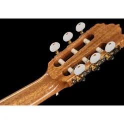 Alhambra 5 P CW E8 w/Gig Bag