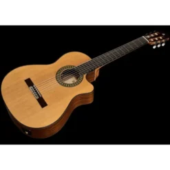Alhambra 5 P CW E8 w/Gig Bag