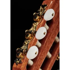 Alhambra 4P LH incl.Gig Bag