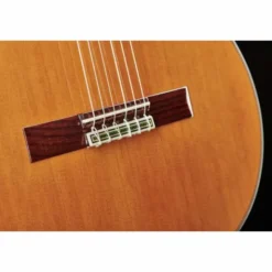 Alhambra 11 P w/Case