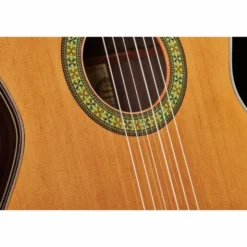 Alhambra 11 P w/Case