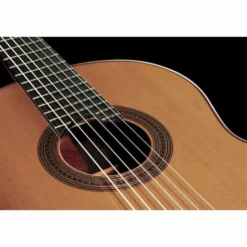 Amalio Burguet 1A Cedar w/ Case