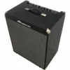 Ampeg RB-210