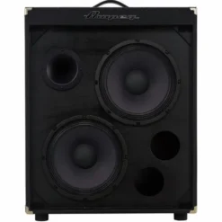 Ampeg RB-210