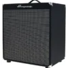 Ampeg RB-115 Bundle