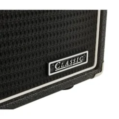 Ampeg SVT-810E