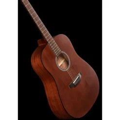 Applause AAD96-M Mahogany