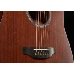 Applause AAD96-M Mahogany