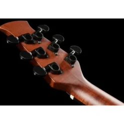 Applause AAD96-M Mahogany