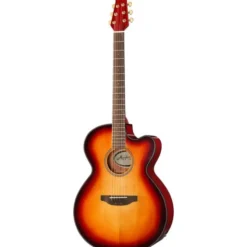 Applause AEJ96-1 Jumbo Cut Electro