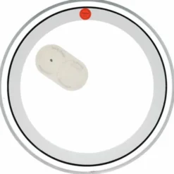 Aquarian 18" Superkick Ten clear