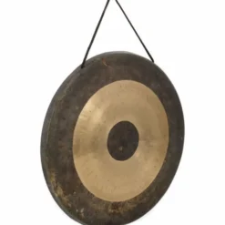 Asian Sound Tamtam T-45 P