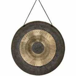 Asian Sound Tamtam T-50 P