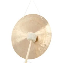 Asian Sound Tamtam TT-50 P