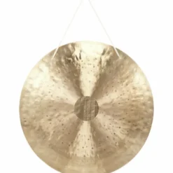Asian Sound Tamtam TT-50 P