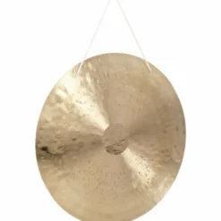 Asian Sound Tamtam TT-50 P