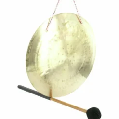 Asian Sound Tamtam TT-25 P