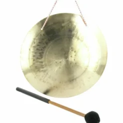 Asian Sound Tamtam TT-25 P