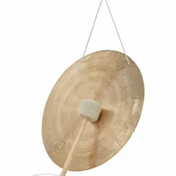 Asian Sound Tamtam TT-55 P