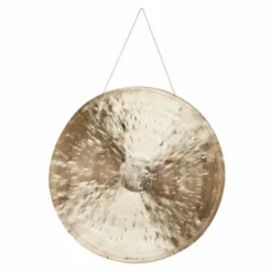 Asian Sound Tamtam TT-90 P