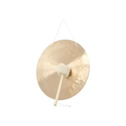 Asian Sound Tamtam TT-80 P