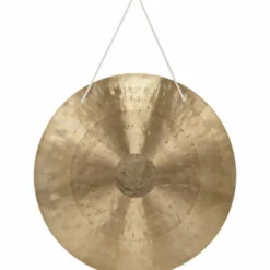Asian Sound Tamtam TT-40 P