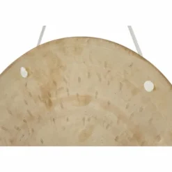 Asian Sound Tamtam TT-40 P