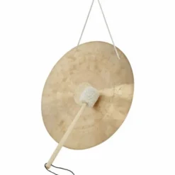 Asian Sound Tamtam TT-40 P