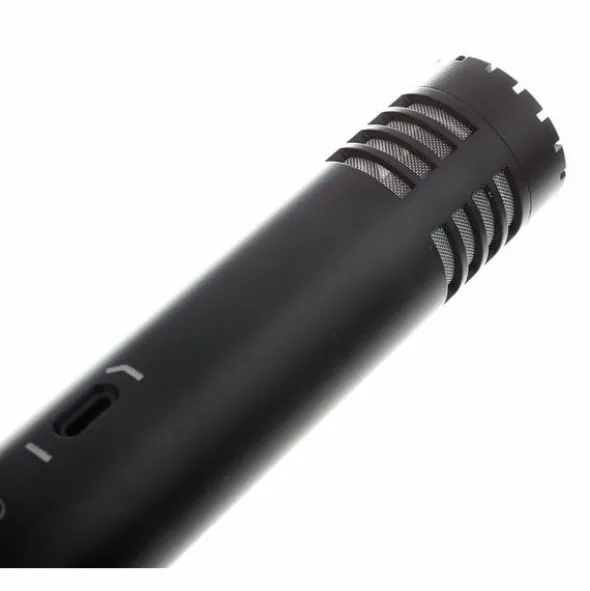 Audio-Technica AT 2031