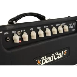 Bad Cat Cub V EL34 Head