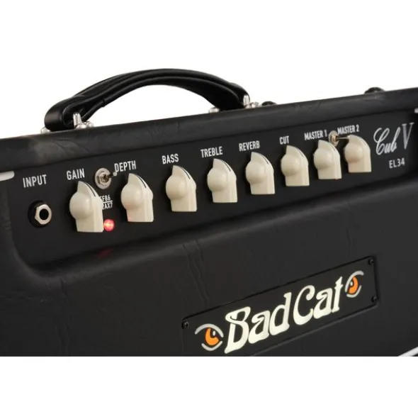 Bad Cat Cub V EL34 Head