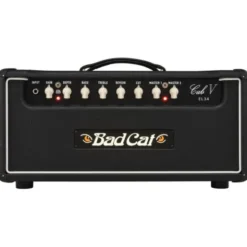 Bad Cat Cub V EL34 Head