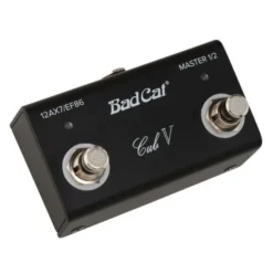 Bad Cat Cub V EL34 Head