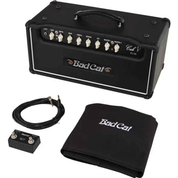Bad Cat Cub V EL34 Head