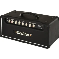 Bad Cat Cub V EL34 Head