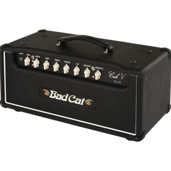 Bad Cat Cub V EL34 Head