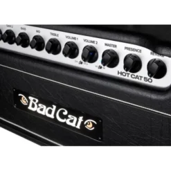 Bad Cat Mod Shop Hot Cat 50 Head