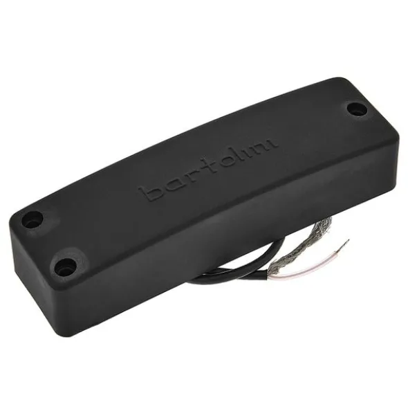 Bartolini 5-String RT Soapbar Bass Neck