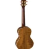 Baton Rouge UTAS-T Ash