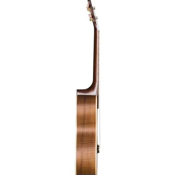 Baton Rouge UTAS-T Ash
