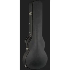 Beard Guitars Road-O-Phonic HSDS TS