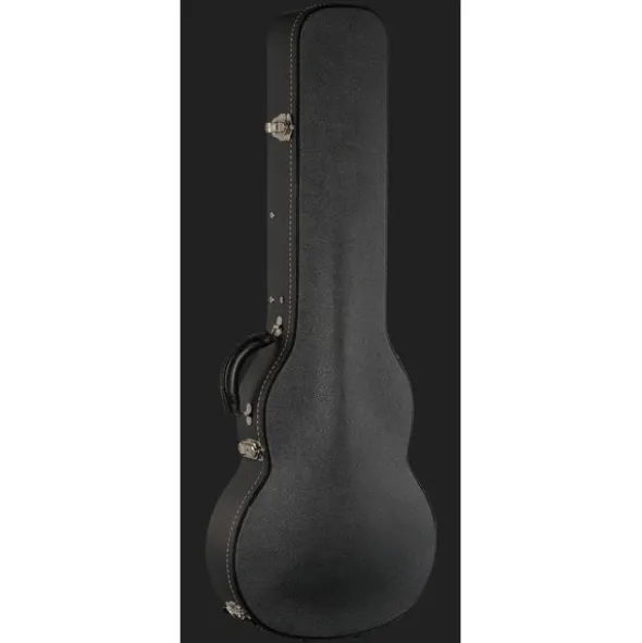 Beard Guitars Road-O-Phonic HSDS TS