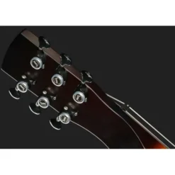 Beard Guitars Road-O-Phonic HSDS TS